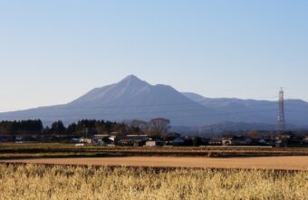 田舎の想い出