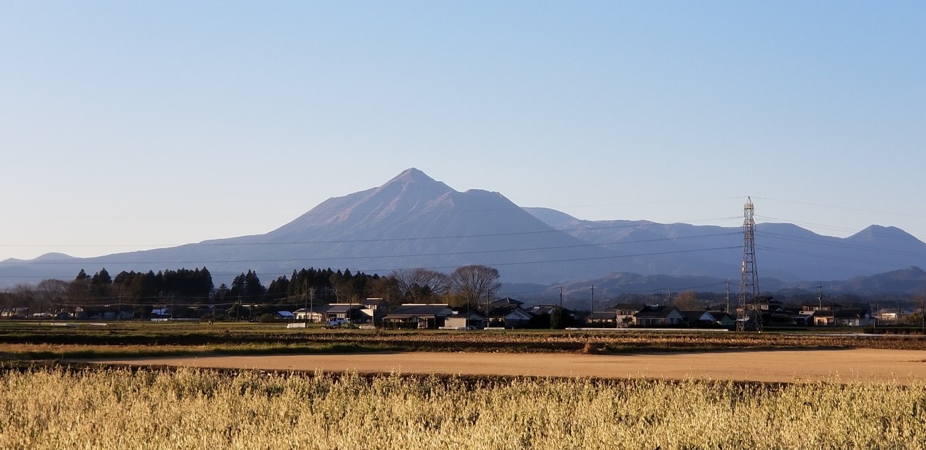 田舎の想い出