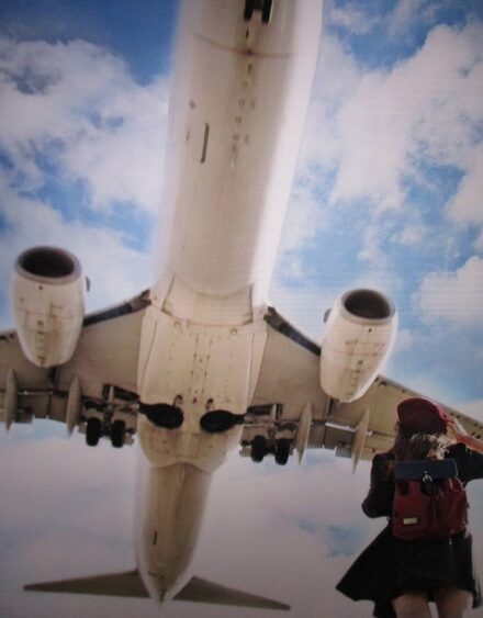 千里川土手🛩