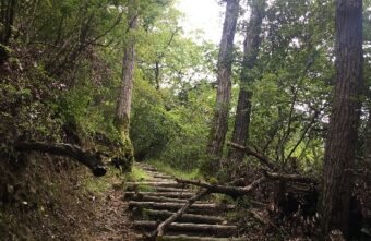 盆休み中の雨空の合間に摂津峡ハイキング