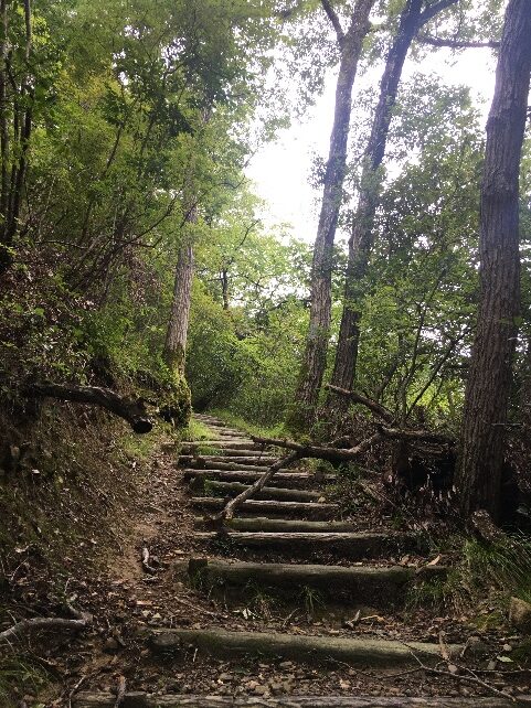 盆休み中の雨空の合間に摂津峡ハイキング