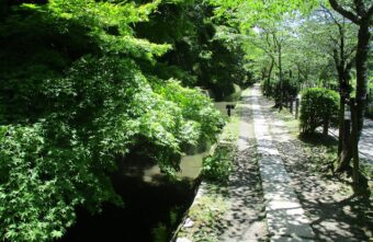 🚶🏼‍♂️京都東山４万歩🏞！！