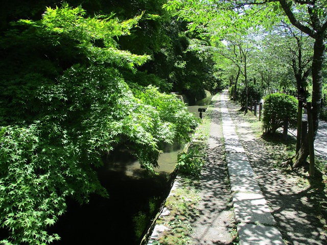 🚶🏼‍♂️京都東山４万歩🏞！！