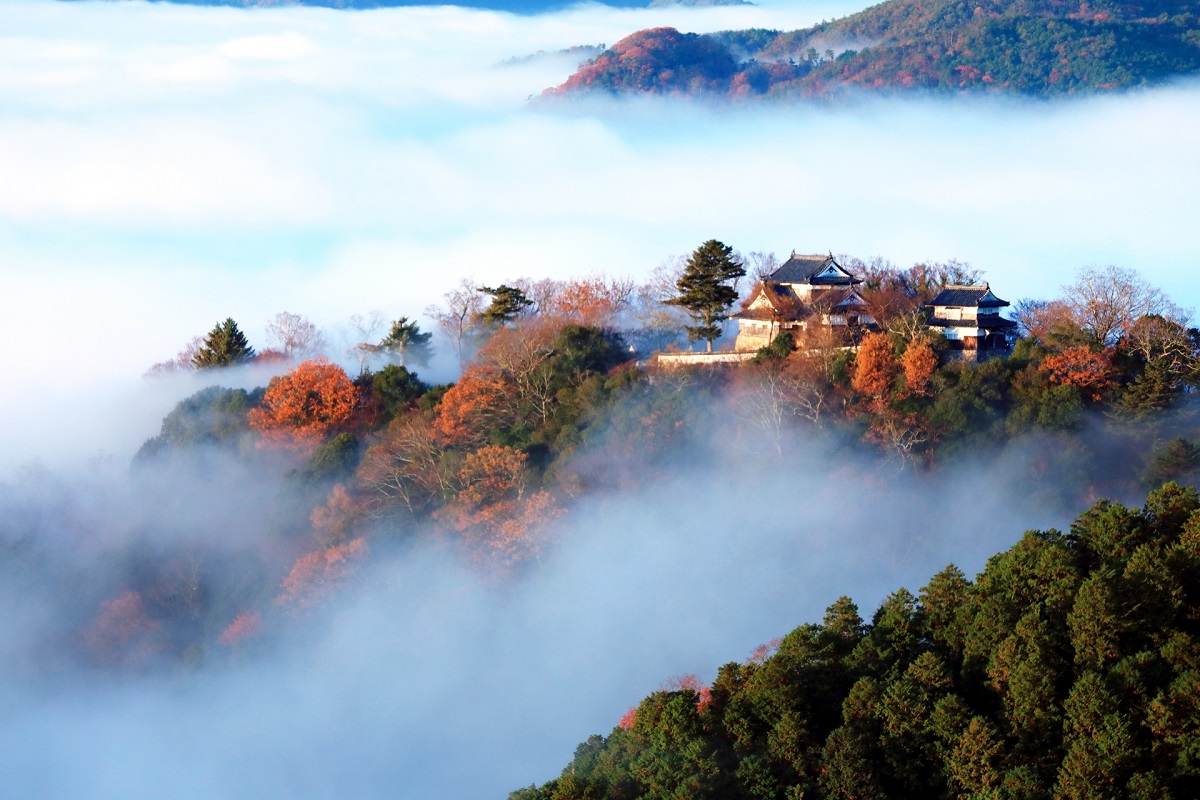 備中松山城「三大山城」探訪