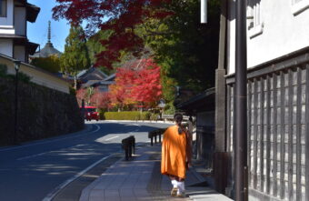 紅葉美しい高野山