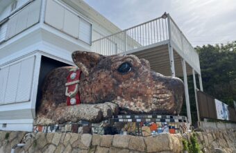 アートの島 ～犬島～