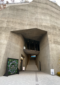 アートな水族館