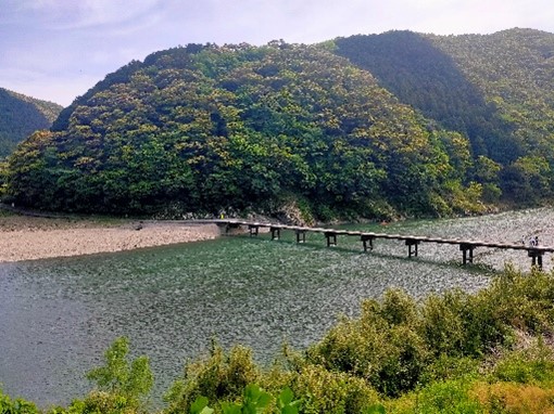 2025GW帰省と高知の旅