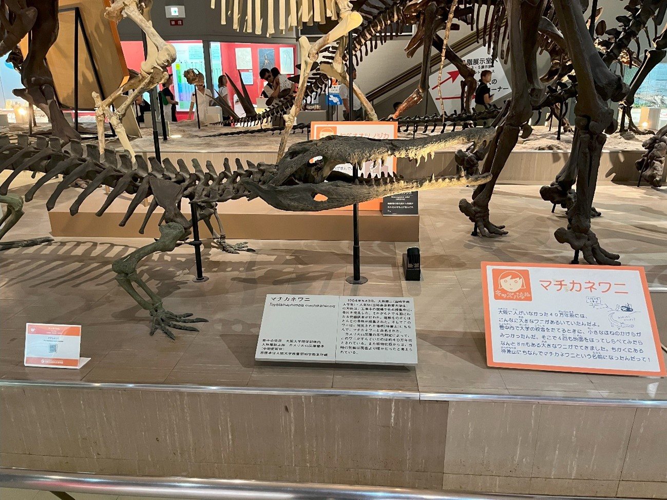 大阪市自然博物館