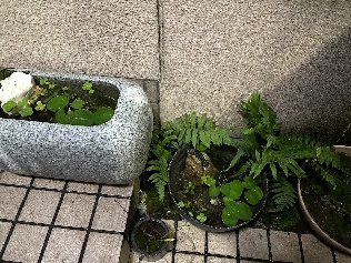 心の余裕と、小さな余白